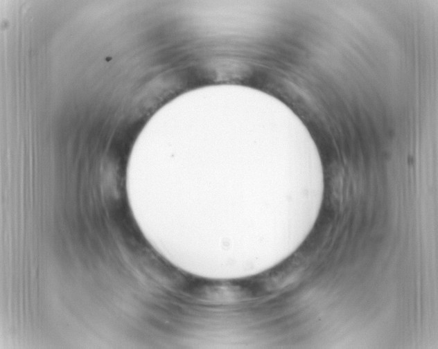 X0000088660316200706221642