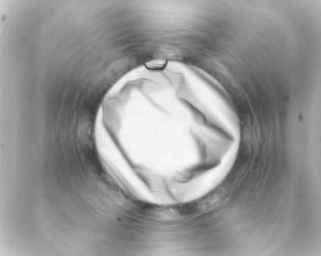 X0000088660322200706221642