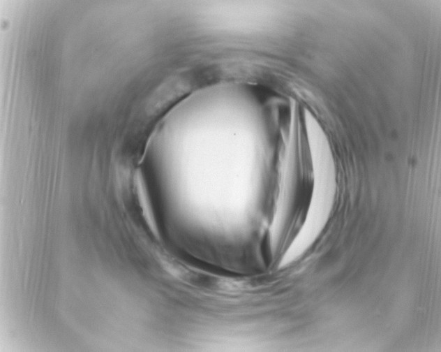 X0000088660333200706221641