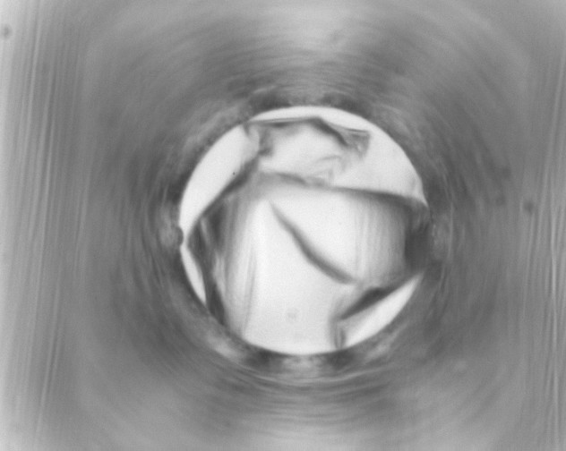 X0000088660335200706221641