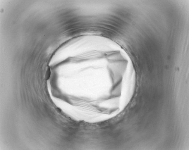 X0000088660337200706221641