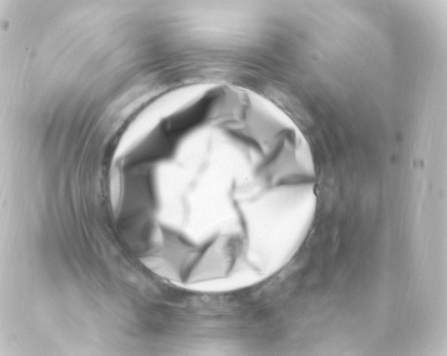 X0000088660338200706221641
