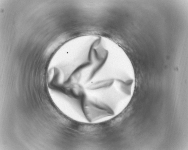 X0000088660341200706221641