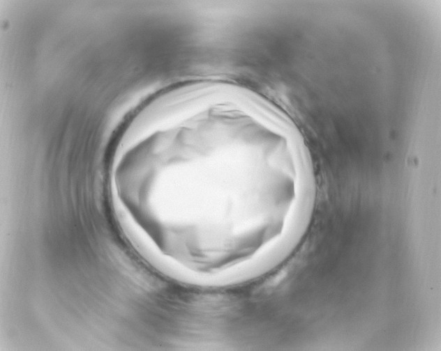 X0000088660342200706221641