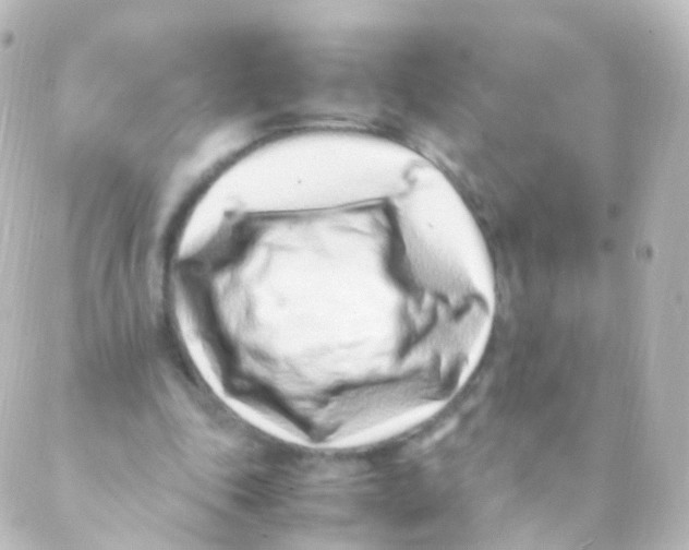 X0000088660343200706221641