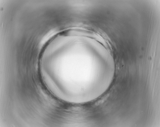 X0000088660344200706221641