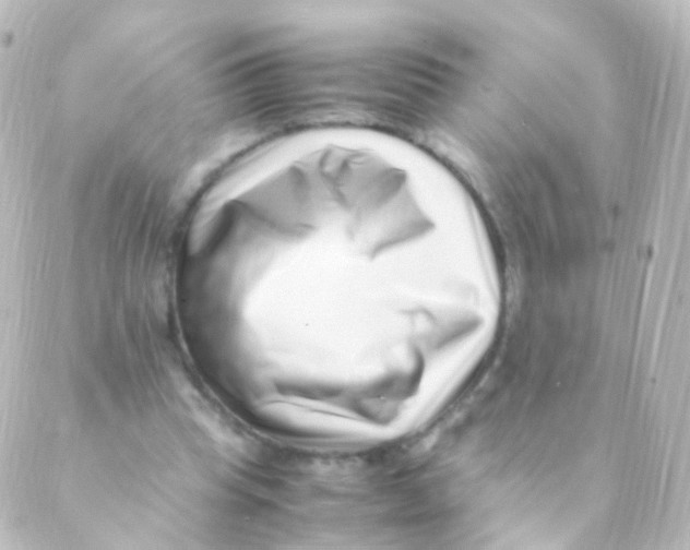 X0000088660345200706221641