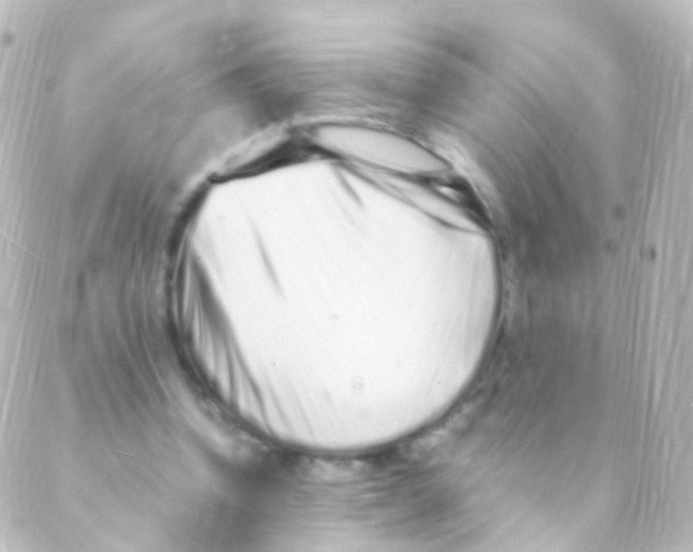X0000088660346200706221641