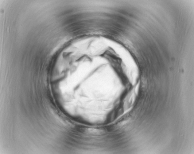 X0000088660347200706221641