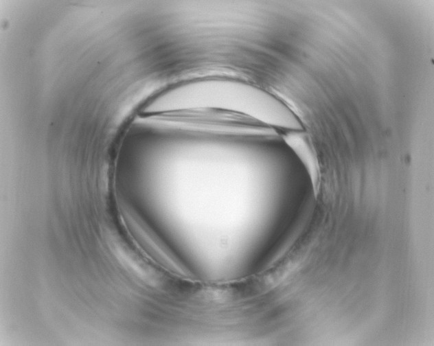 X0000088660350200706221641