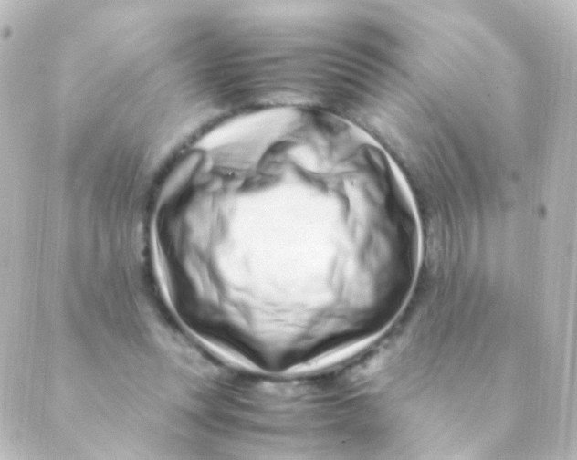 X0000088660351200706221641