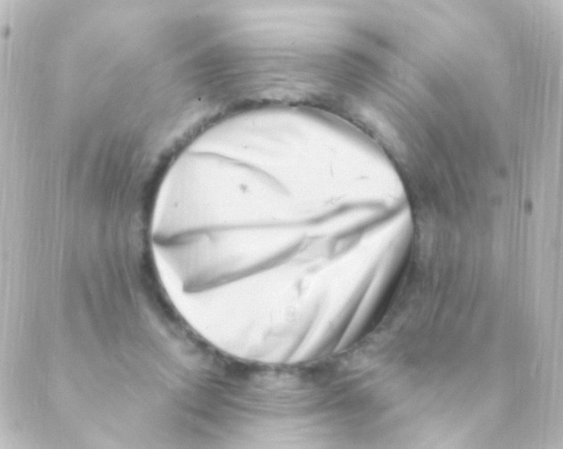 X0000088660354200706221641