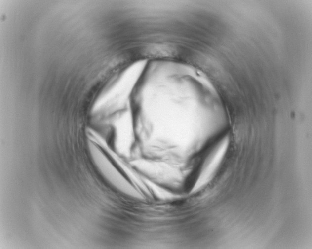 X0000088660359200706221641