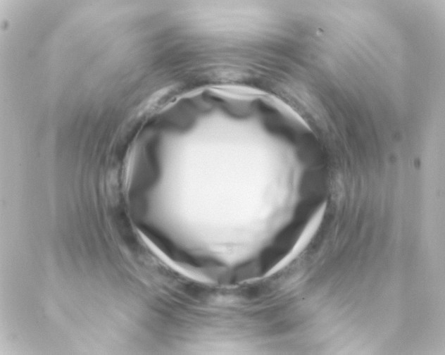 X0000088660360200706221641