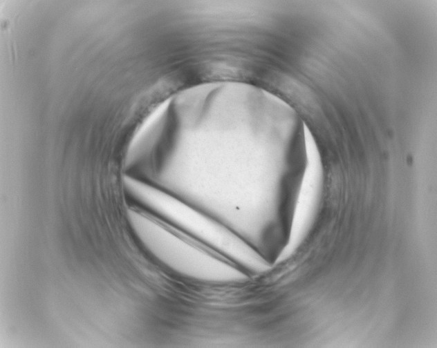X0000088660361200706221641