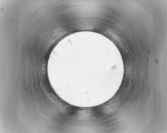 X0000088660362200706221641