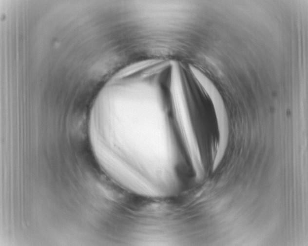 X0000088660364200706221641