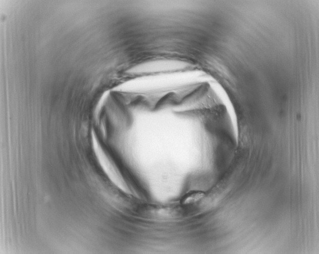 X0000088660365200706221641