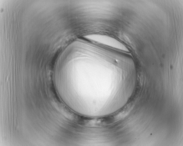 X0000088660366200706221641