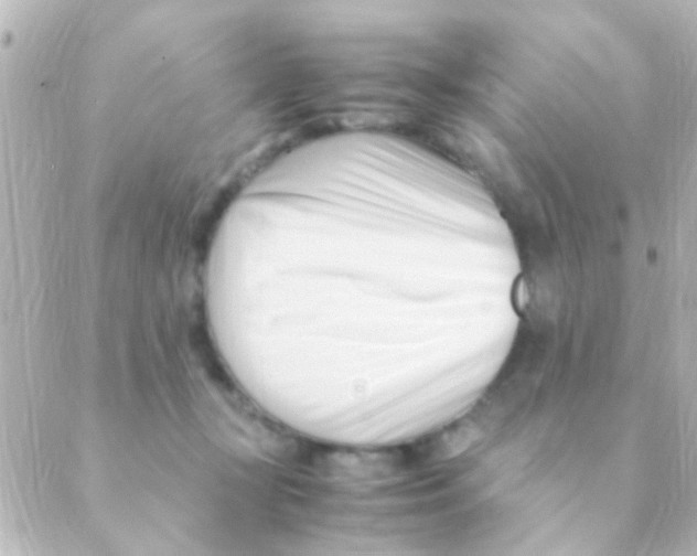 X0000088660367200706221641