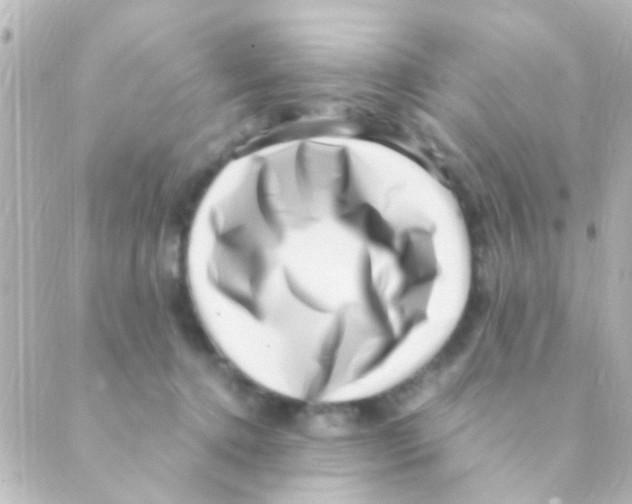 X0000088660368200706221641