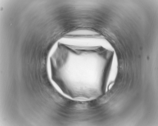 X0000088660369200706221641