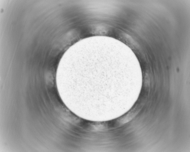 X0000088660370200706221641