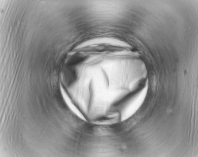 X0000088660372200706221641