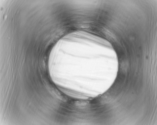 X0000088660373200706221641