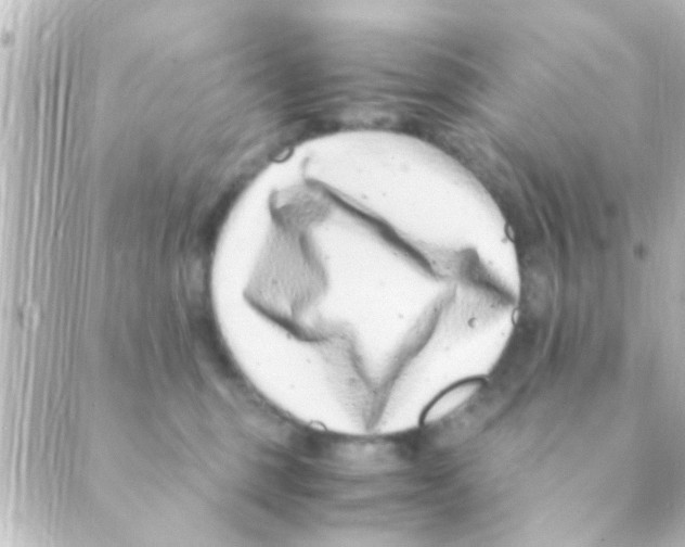 X0000088660375200706221641