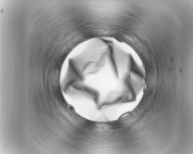 X0000088660376200706221641