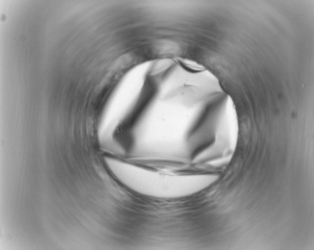 X0000088660379200706221641