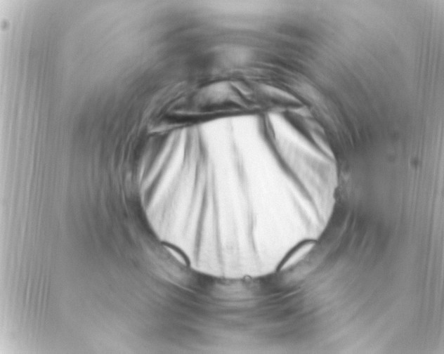 X0000088660381200706221641