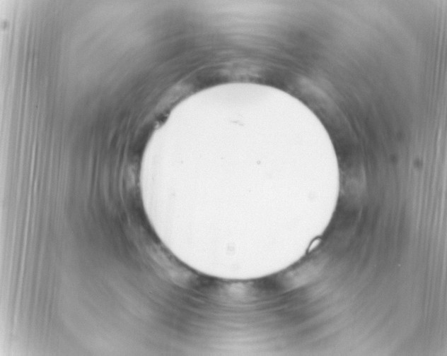 X0000088660382200706221641