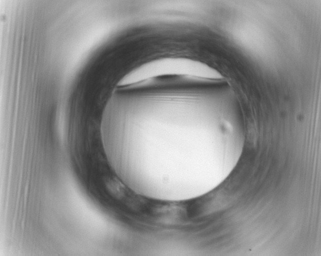 X0000088660383200706221641