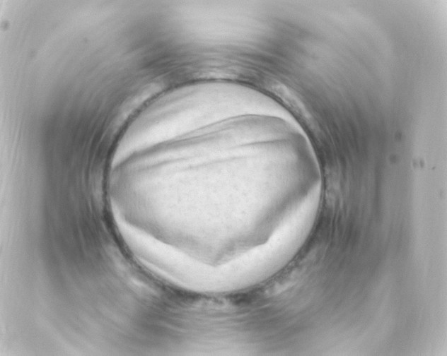 X0000088660386200706221641