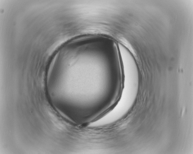X0000088660387200706221641