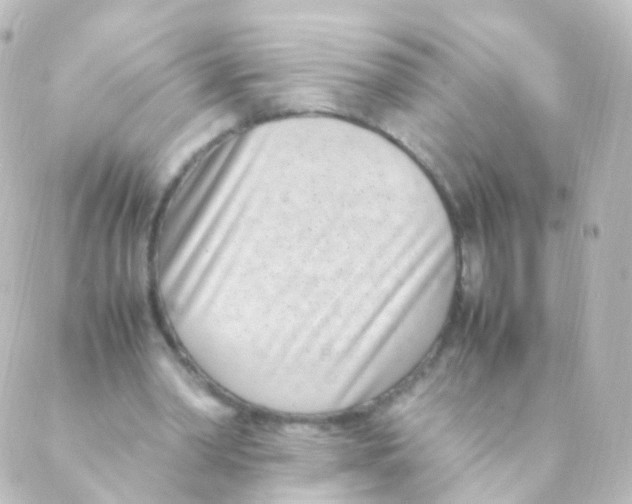 X0000088660390200706221640
