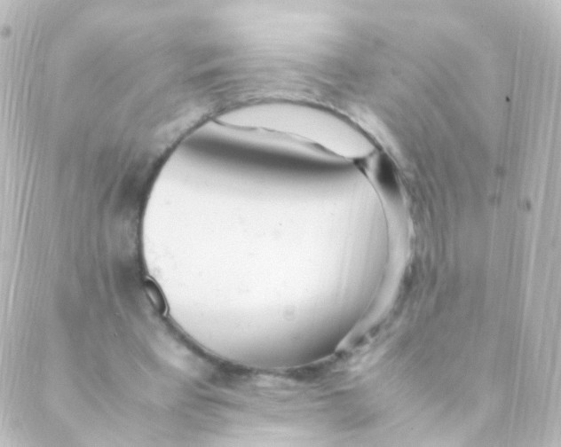 X0000088660393200706221640