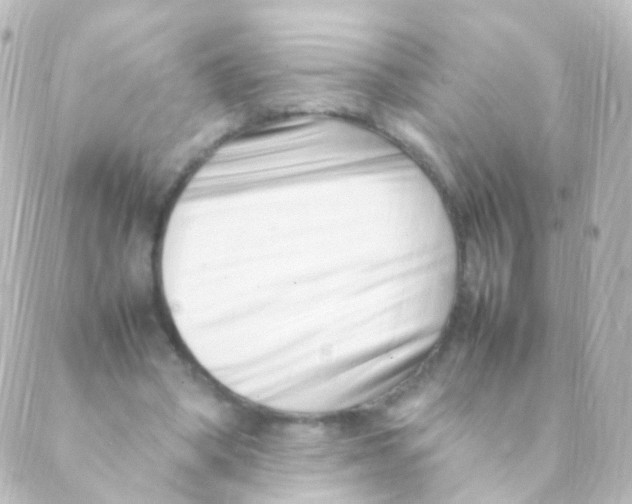 X0000088660394200706221640