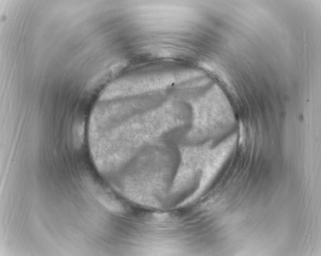 X0000088660406200706221640