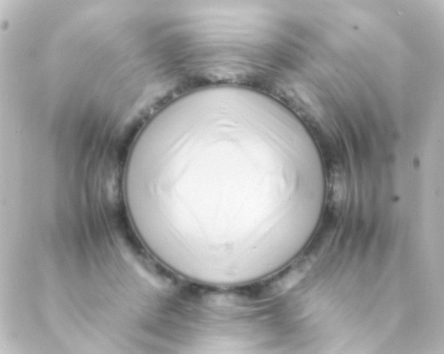 X0000088660408200706221640