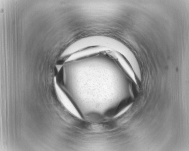 X0000088660413200706221640