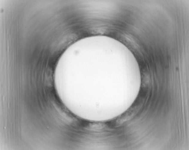 X0000088660414200706221640