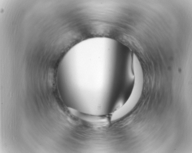 X0000088660416200706221640