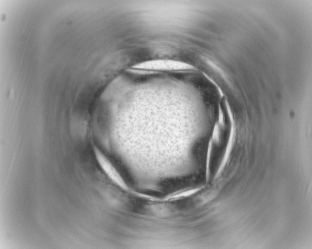 X0000088660417200706221640