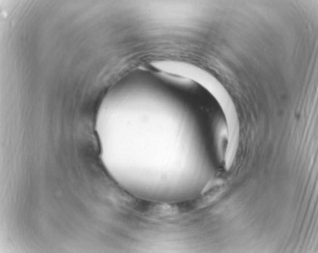 X0000088660421200706221640