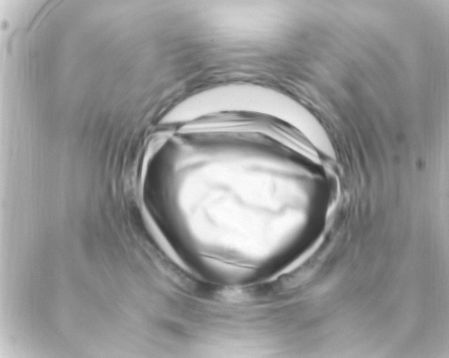 X0000088660425200706221640