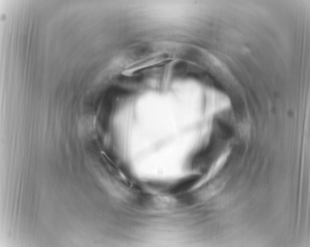X0000088660429200706221640