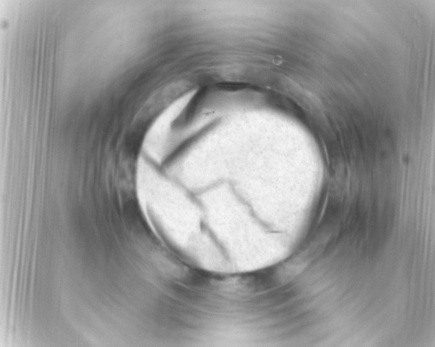 X0000088660430200706221640